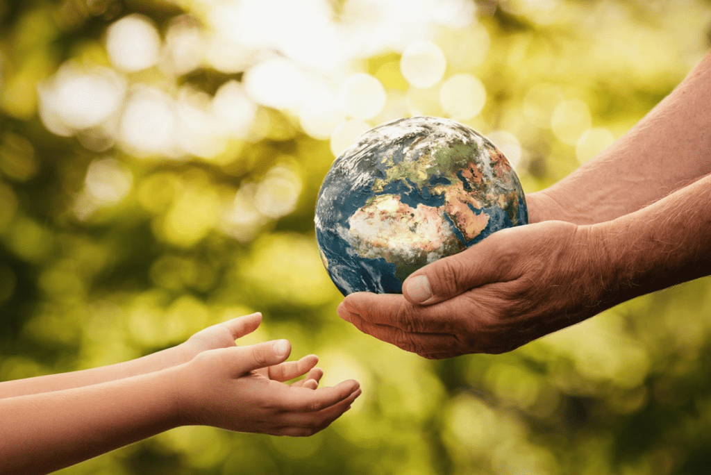 How We Can Sustainably Live Alongside&nbsp;Animals